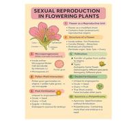SSOPTMCB Sexual Reproduction in Flowering Plants Poster, Botany Biology Educational Chart for Students, Science Classroom & Laboratory Wall Art(Unframed,12x18inch(30x45cm))