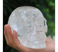 SSOPTMCB Transparent White Skull Hand-Carved with Quartz Crystal Home Decor(550-650) Gemstone Stone