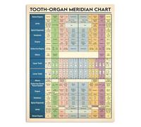 SSOPTMCB Vintage Dentistry Knowledge Plaque | Antique Illustration of Teeth Anatomy and Tools | Retro Decor for Practice, Study or Apothecary Bar(Unframed,12x18inch(30x45cm))