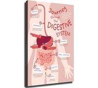 SSOPTMCB Wall-Art Canvas Prints - Digestive System Educational Chart Poster - Human Anatomy Science Decor for Classroom and Study Room(Unframed,16x24inch(40x60cm))