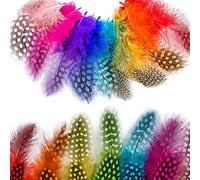 SSyang 200 Piezas Plumas De Colores, Plumas De Colores Manualidades, Plumas Naturales, Para Atrapasueños, Sombreros, Pendientes, Tiaras, Decoraciones De Carnaval(Multicolor)