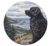 St. Bernard Adultos-Niños Rompecabezas Redondo 1000p HaustiEn cambiond Circular Puzzle Niños: Hombres Construir Maquetas 1000pcs (67.5x67.5cm)