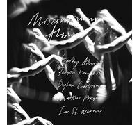 St.Werner,Jan - Miscontinuum Album [Vinilo]