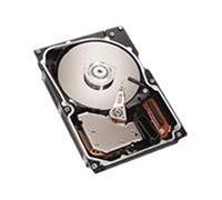 Seagate Cheetah 36.7GB HDD 36.7GB SAS - Disco duro (36,7 GB, SAS, 10000 RPM, 3.5", Servidor/estación de trabajo, Unidad de disco duro)