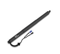 Stabilus Accionamiento eléctrico para portón trasero 202012 POWERISE apertura automática de maletero, amortiguador eléctrico, etc. para BMW X5, varios modelos G05 2019-2019