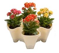 Stackable Strawberry Tower, Anti Slip Planter, Planting Pot with Secure Drainage, Container with Ventilation Feature, Garden Patio Balcony Lawn Farm Accessory Space-Saving Design Home Apartment