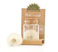 Stadtgärtner - Tarros de regalo para cualquier ocasión, diseño de diente de león real en un frasco