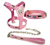 Staffie - Arnés y correa para perro, juego de 3 piezas de accesorios de latón de piel auténtica rosa, acolchado suave ajustable para Staffordshire Bull Terrier