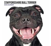 Staffordshire Bull Terrier 2026 - Calendario moderno