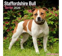 Staffordshire Bull Terrier Calendar 2026 Square Dog Breed Wall Calendar - 16 Month
