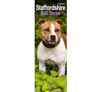 Staffordshire Bull Terrier Slim Calendar 2026 Dog Breed Slimline Calendar - 12 Month