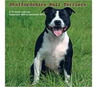 Staffordshire Bull Terriers - (2010)