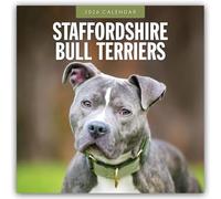 Staffordshire Bull Terriers 2026 Square Wall Calendar: Original Red Robin Publishing Ltd-Kalender [Mehrsprachig] [Kalender]