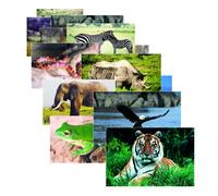 Stages Learning Materials SLM151 Wild Animals Real Life Learning Poster Set Pack of 10