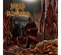 Stages of Decomposition - Piles of Rotting Flesh