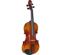 Stagg VN-4/4 L de arce del violín 4/4 con el carcasa