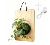 Staghorn Fern Mount - Wooden Plant Holder Board, 9.45 Inches Display Panel with Natural Growth, Wall Mounted, Botanical Feature, Vertical Art Frame for Enhancing Indoor Garden Living Space Aesthetic