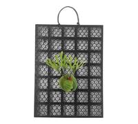 Staghorn Fern Mounting Kit - Vertical Plant Wall Planter Frame Board, Climbing Plants Holder, Platycerium Orchid Mounting System for Dorm Offices Balcony, Porch Living Room Indoor Outdoor Garden Displ