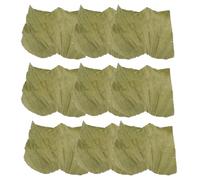 STAHAD Hojas de Loto Secas Cuadradas 20x20 Cm para Decoración y Revestimiento de Platos Sushi, 100 Unidades para Cocina Asiática, Catering y Presentación Elegante de Alimentos