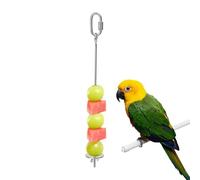 Stainless Bird Food Skewer, Fruit Stick Holder, Cage Foraging Tool with Sturdy Material, Feeding Accessory, Skewer with Secure Design, Pet Supply for Macaw and Parakeet