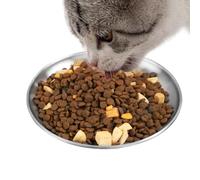 Stainless Steel Cat Bowl - Shallow Metal Cat Plate | Wide Whisker Friendly Dish | Non-Slip Silicone Ring, Dishwasher Safe Food Tray for Kittens and Small Dogs | Wide Opening Metal Plate