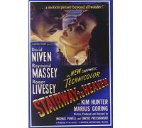 Stairway To Heaven [Edizione: Stati Uniti] [Italia] [DVD]