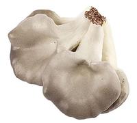 Stakee Modelo De Vegetales Simulados De Hongos Artificiales Simulación De Hongos Artificiales Fotografía De Alimentos para Decoración