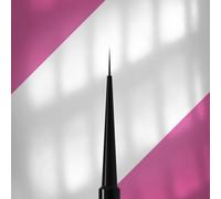 STALEKS PRO Expert NBE NBE-03 - Juego de pinceles para uñas, delineador, gel, color negro, mango de plástico, pinceles profesionales para manicura
