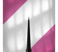 STALEKS PRO Expert NBE NBE - Juego de pinceles para uñas, delineador, gel, color negro, mango de plástico, pinceles profesionales para manicura