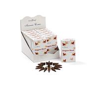 Stamford Dragons Blood - Conos de Incienso, Lote de 12 Paquetes