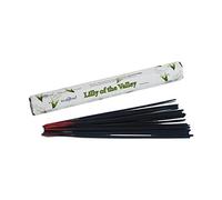 Stamford Lily of The Valley - Varillas de Incienso (Lote de 20 Paquetes), Color Negro