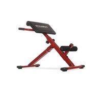Stamina X Hyperextension - Silla Romana Ajustable y Plegable con aplicación de Entrenamiento Inteligente para Entrenamiento en casa, Capacidad de Peso de hasta 250 Libras