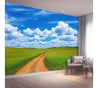 Stampa su Tela Vistoso Quadro Moderno 250 x 175 cm Decorazione da Parete per Soggiorno Camera Poster Murale con Design Naturaleza Pradera Sendero Nubes Non Autoadesivo