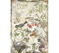 Stamperia DFSA4459 Papel de arroz A4 en sobre-Flores y Fruta, Multicolor, 29.7cmX21cm