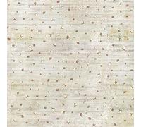 STAMPERIA INTERNATIONAL, KFT Servilleta de Papel de arroz, Madera de Invierno con brotes, talla única