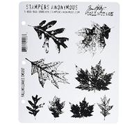 Stampers Anonymous Tim Holtz - Sellos para estampación (Falling Leaves Cling Die Set