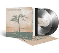 Stand in Your Light (Crystal Clear) [Vinilo]