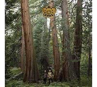 Stand Up and Speak [Vinilo]