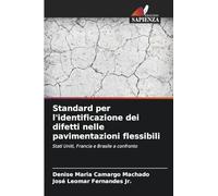 Standard per l’identificazione dei difetti nelle pavimentazioni flessibili: Stati Uniti, Francia e Brasile a confronto