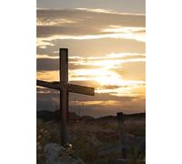 Standing Strong: A Personal Journal