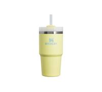 Stanley 1913 Flip Straw Botella Agua con Pajita 0.89L - Violet Blossom | Termo Conserva el Frío 11 Horas - Helada Durante 48 Horas - Botella Agua Acero Inoxidable - Vaso Termico Sin BPA