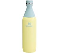 Stanley Botella All Day Slim de 20 oz | Tapa de giro con sello a prueba de fugas | Diseño delgado para viaje y gimnasio | Acero inoxidable aislado | Sin BPA | Pomelo