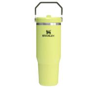 Stanley IceFlow 2.0 - Vaso con popote abatible con asa, 887 ml, tapa giratoria y popote abatible, botella de agua a prueba de fugas, acero inoxidable aislado, sin BPA, color pera espinosa