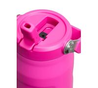 STANLEY Iceflow Bottle Flip Straw 2.0 0.7L (flor violeta)