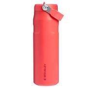STANLEY IceFlow Bottle Flip Straw 2.0 - Botella de agua de 0.7 L, color coral caliente, OS