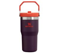 STANLEY IceFlow - Vaso de acero inoxidable - Botella de agua aislada al vacío para el hogar, la oficina o el automóvil, reutilizable, con pajilla, resistente a fugas, fría durante 12 horas o helada