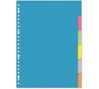 Staples Kangaro - Separadores para archivador (A4, 220 g, en blanco) 6 piezas. 35 unidades.