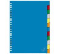 Staples Kangaro - Separadores para archivador (A4, PP, 120 micras, 23º) 12 pastillas surtidas.