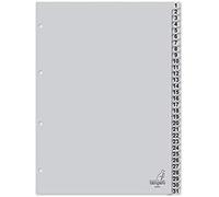 Staples Kangaro - Separadores para archivador (tamaño A4, PP, 120 micrones, 4 unidades) 31 piezas gris