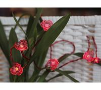 Star 726-18 - Cadena de luces led con alimentación a pilas (10 bombillas), diseño de flor, color rojo
